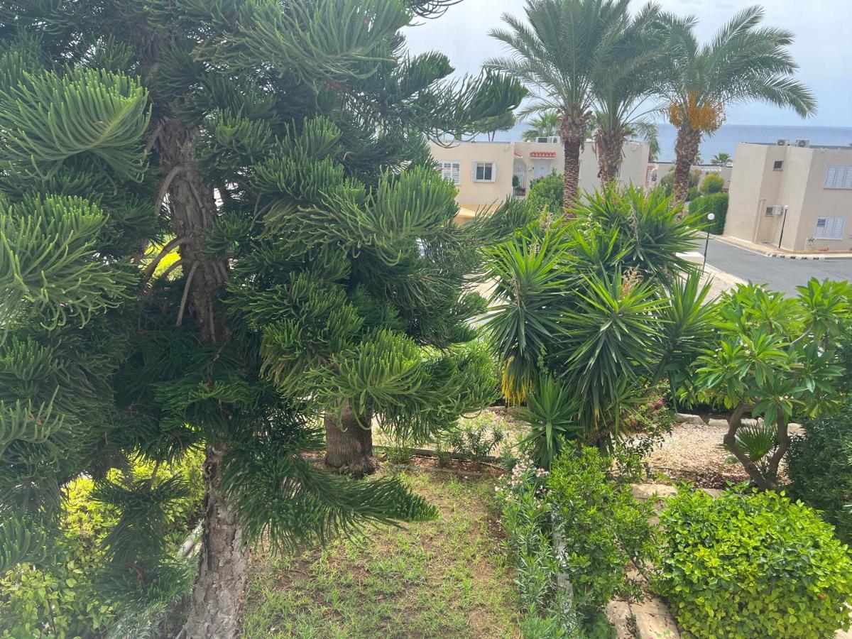 Modern Seaview Townhouse In Coral Bay (Adults Only) Apartman Péjia Kültér fotó